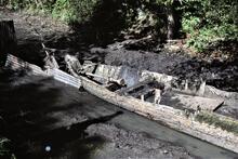 “Seagull”. View of excavated boat. 02/06/1985