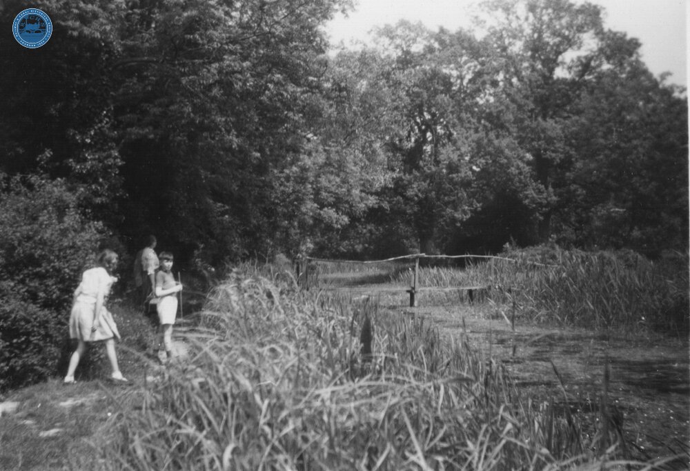 Near aqueduct, Greywell. June 1960