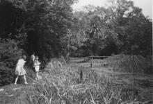 Near aqueduct, Greywell. June 1960