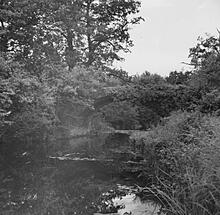 Derelict Bridge over Canal, Dogmersfield Park. August 1954.