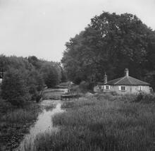 Frimley Green Wharf. March 1955