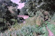 Double Bridge, Dogmersfield. 01 October 1977