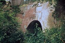 Greywell tunnel east portal. June 1969