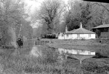 Frimley Green.
