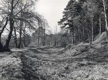 Pirbright. Circa 1950