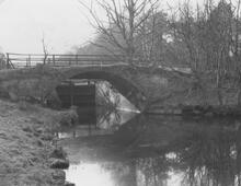 Cowshot bridge in the Deepcut Flight. 17/03/56