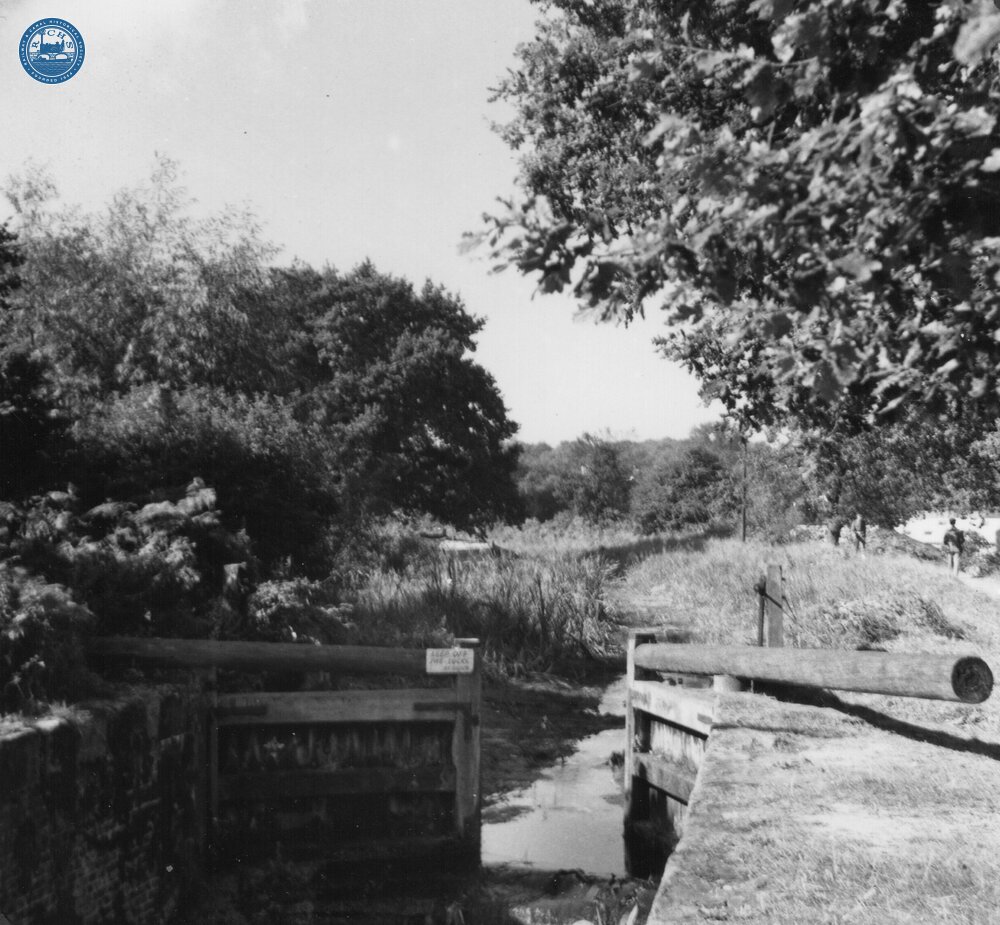 Goldsworth Flight and derelict wide boat. August 1954.