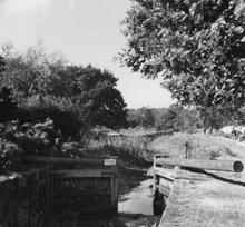 Goldsworth Flight and derelict wide boat. August 1954.