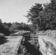 Lock between Pirbright and Frimley. August 1954