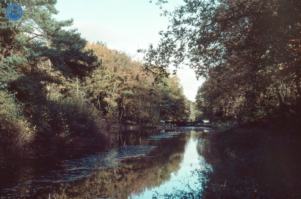 Pirbright. November 1984