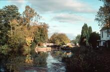Pirbright. November 1984