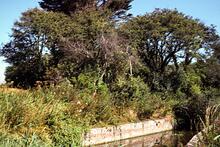 Site of Dudley Swing Bridge, looking north 23.9.1988