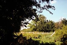 Site of Crosbie Swing Bridge, looking west 23.9.1988