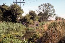 Abutment of Selsey Tramway Bridge, looking east 23.9.1988