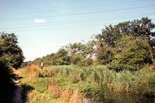 Abutment of Selsey Tramway Bridge, looking west 23.9.1988
