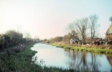 Looking west from Hunston Junction. 25.11.1989