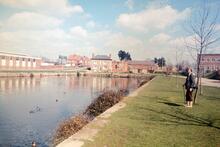 Chichester Basin. 1980