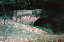 Wey and Arun canal. Fast Bridge, Alford. July 1971