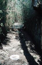 Wey and Arun canal. Loxwood lock. 1984