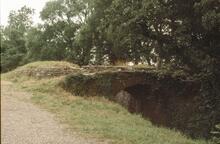 Monmouthshire Canal, north of Newport. July 1972