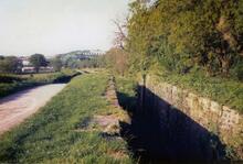 Alt-yr-yn 1988
