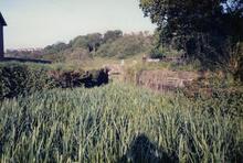 Alt-yr-yn 1988