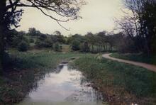 Rogerstone 1988