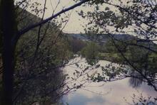 Newbridge 1988