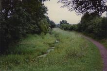 Hollybush Way, Ty-Coch 1990