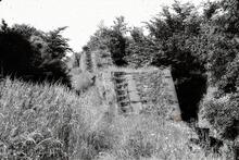 Glamorganshire Canal: Nantgarw Triple Locks. 1961