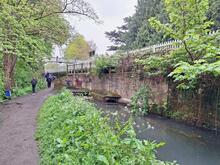 Piddock’s Canal. Lydney. Alongside St Mary’s Halt (SAW @ 8m 41ch) on the Severn & Wye Railway line. 27 April 2024