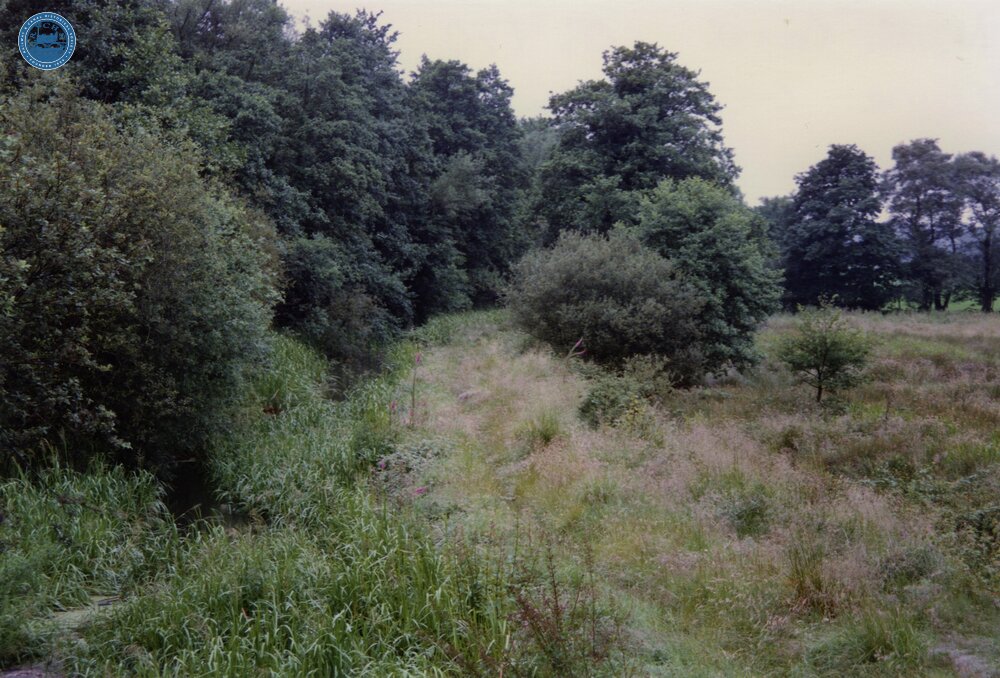Clyne 1990