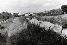 Creech St Michael - View west from near the road bridge  (1972)