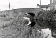 Creech St Michael Bridge (1972)