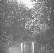Marhamchurch Incline. 13/09/1989