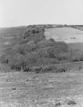 Hobbacott Inclined Plane running up opposite hill. April 1954