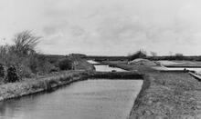 East of the Tamar Aquduct. April 1954