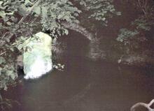 Aqueduct near Launceston. 1977