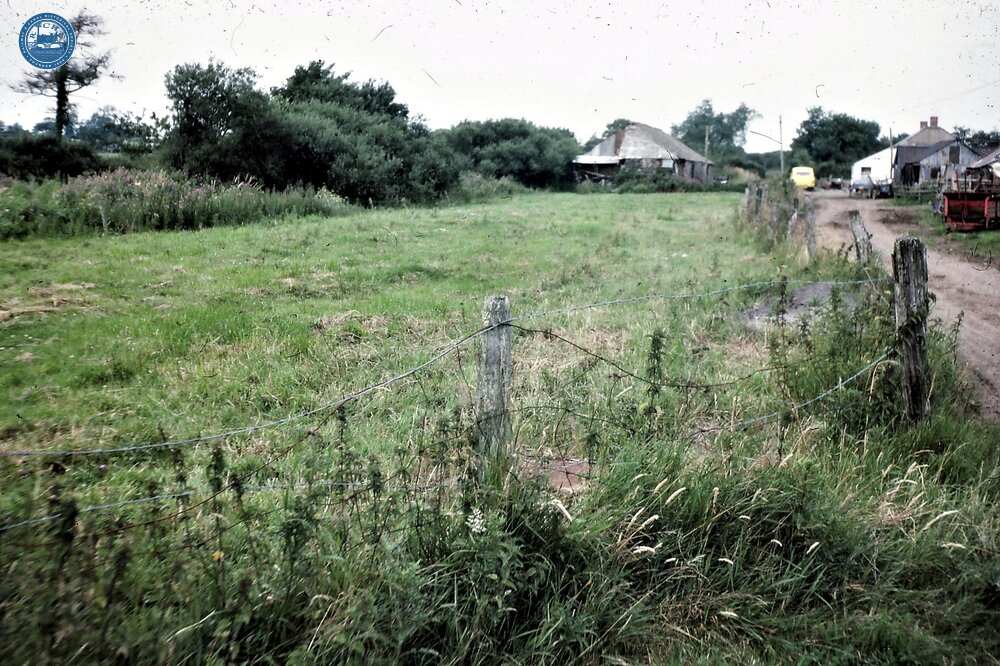 Dry Bed. 1977
