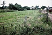 Dry Bed. 1977