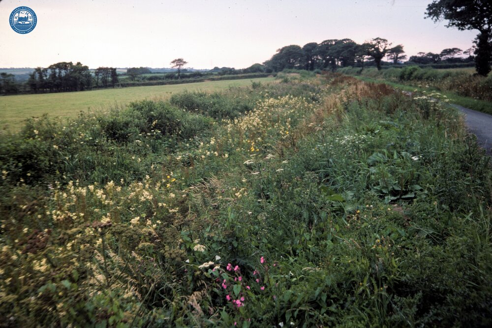 Dry Bed. 1977
