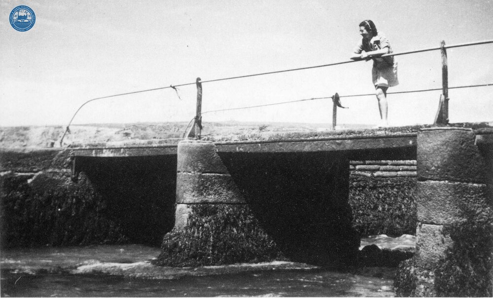 The “Iron Bridge”