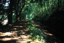 Unidentified location. 1978