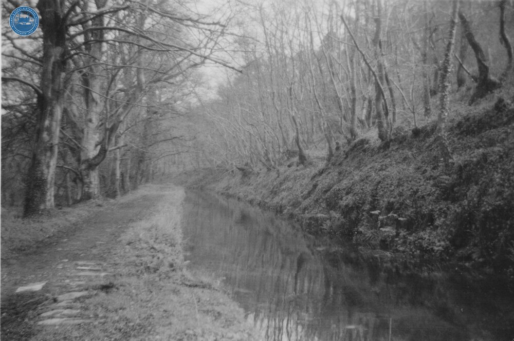 Tree lined section. 1961.