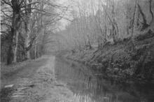 Tree lined section. 1961.