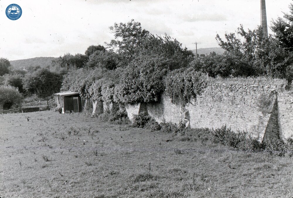 View south from Junction with Bridgwater & Taunton Canal at Creech St Michael. 12/09/72