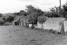 View south from Junction with Bridgwater & Taunton Canal at Creech St Michael. 12/09/72