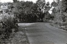Remains of Aqueduct at Creech St Michael over Creech- Ruishton Road. 12/09/72