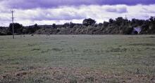 View along embankment between two aqueducts at Creech St Michael. 12/09/72