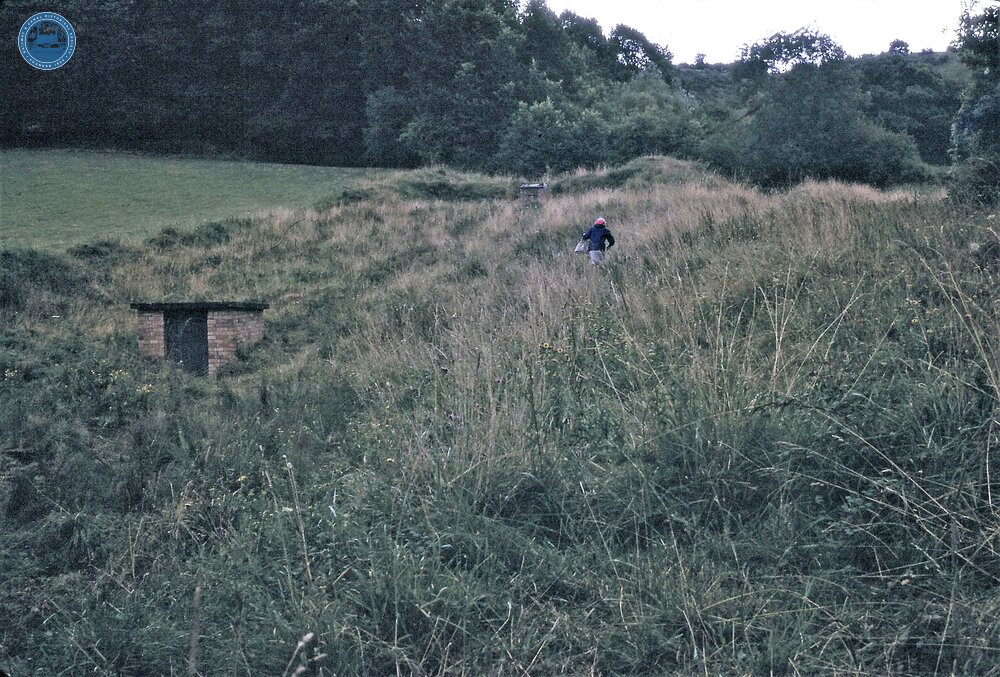 Wrantage incline looking up to  Crimson Hill Tunnel. 13/09/72